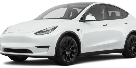 TESLA MODEL Y 2020 5YJYGDEE6LF058520 image
